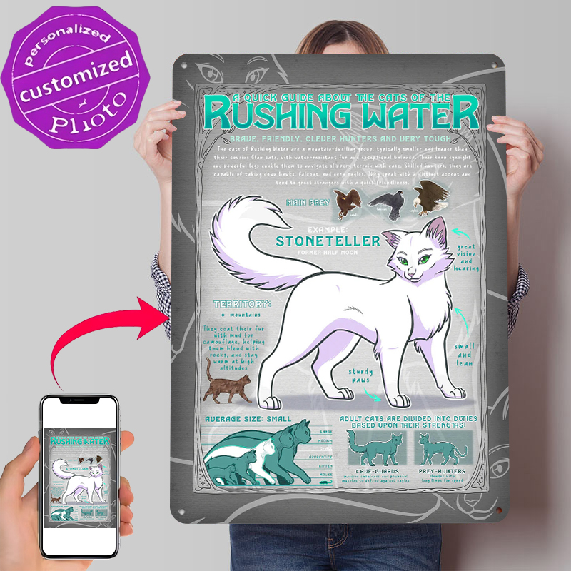 Retro Gaming Guide - Guide to Rushing Water Cats ブリキポスター